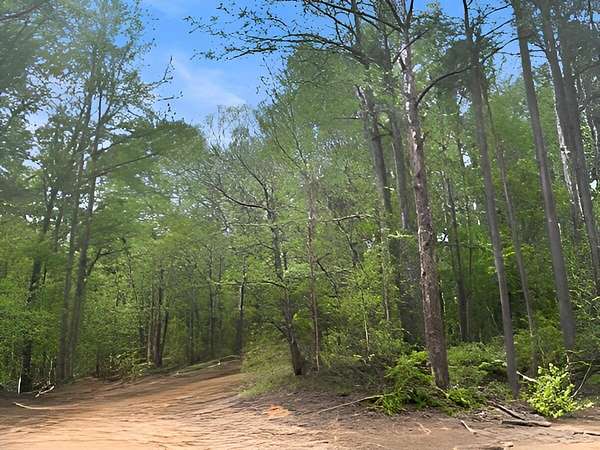 2.79 Acres of Land with Home for Sale in Gordo, Alabama