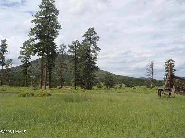 20.1 Acres of Land for Sale in Williams, Arizona