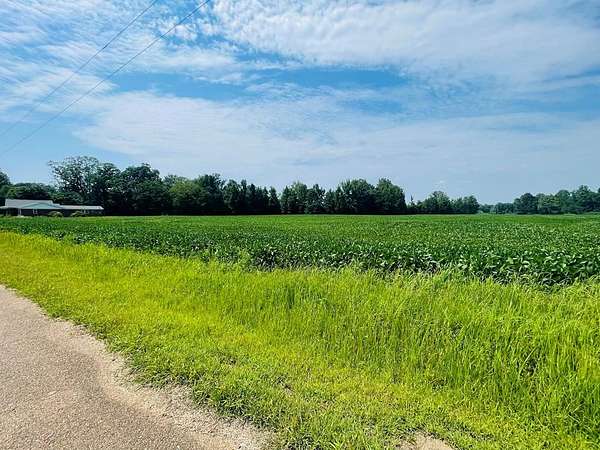 13.9 Acres of Land for Sale in Paris, Mississippi