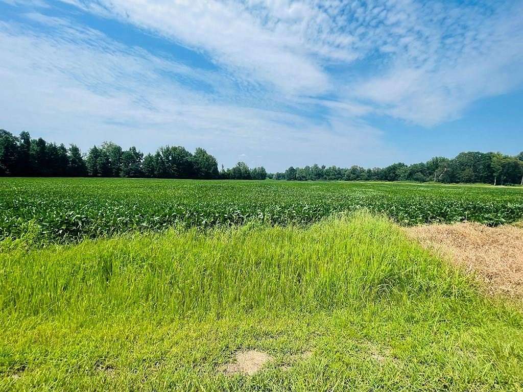 13.9 Acres of Land for Sale in Paris, Mississippi