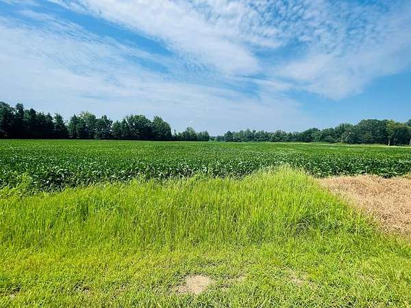 13.9 Acres of Land for Sale in Paris, Mississippi