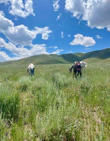 23.4 Acres of Land for Sale in Grantsville, Utah