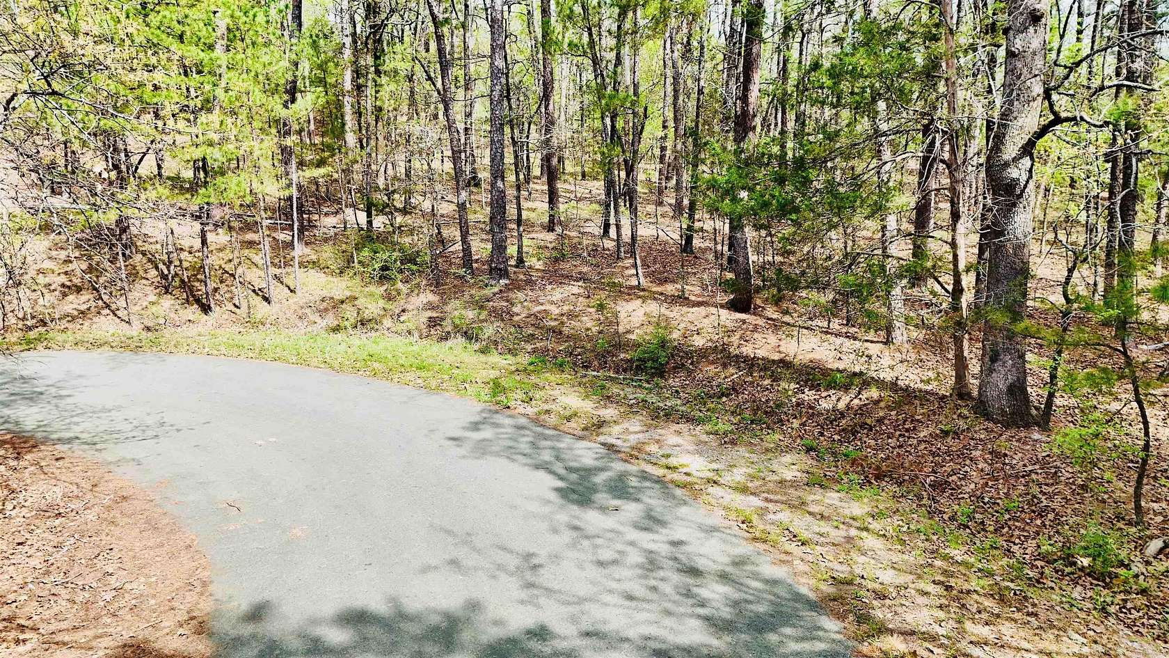0.29 Acres of Residential Land for Sale in Hot Springs Village, Arkansas