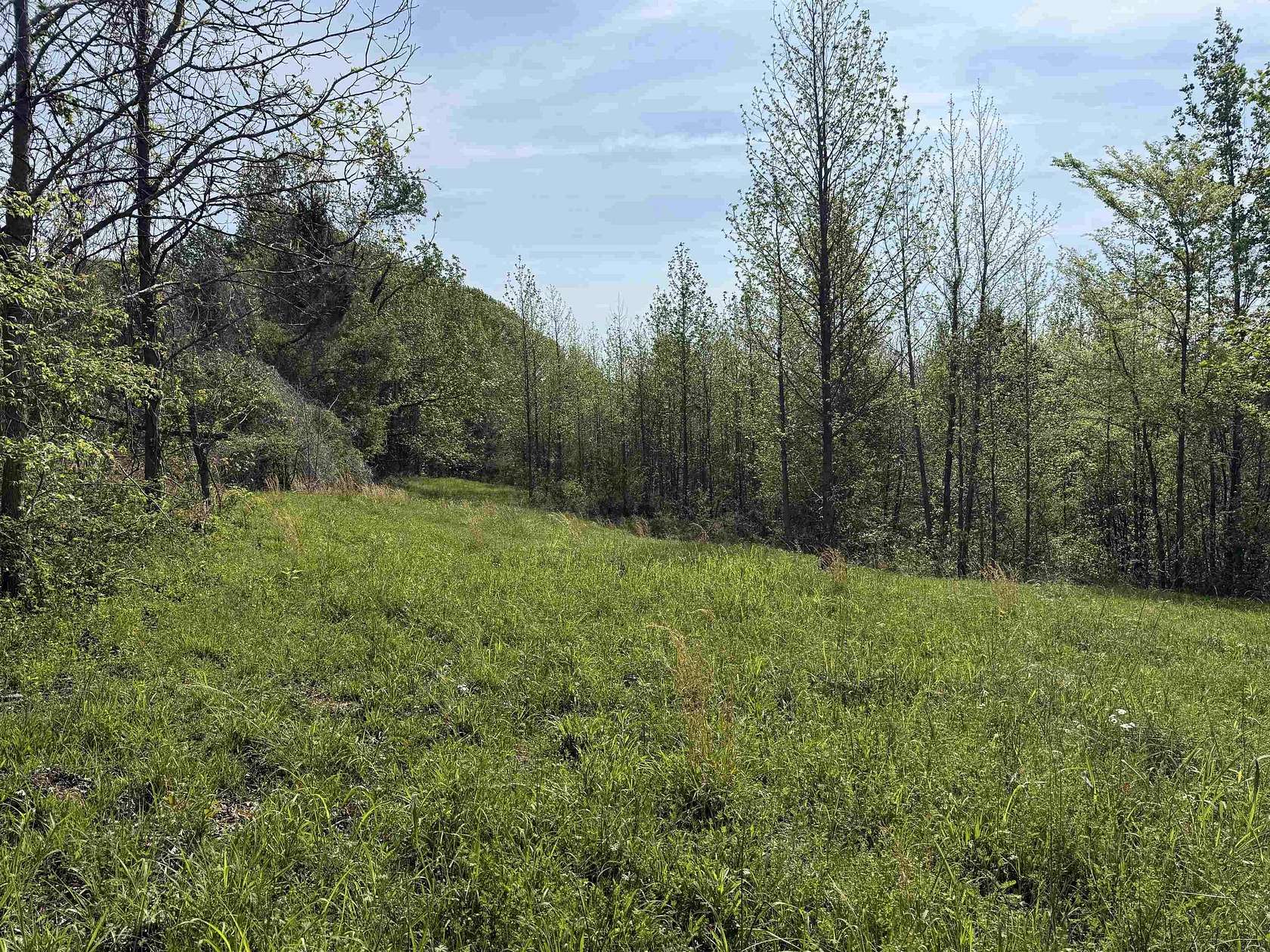 5.72 Acres of Residential Land for Sale in Drummonds, Tennessee