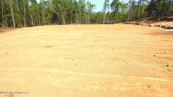 22 Acres of Land for Sale in Grenada, Mississippi