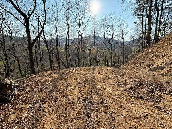 15.3 Acres of Recreational & Residential Land for Sale in Robbinsville, North Carolina