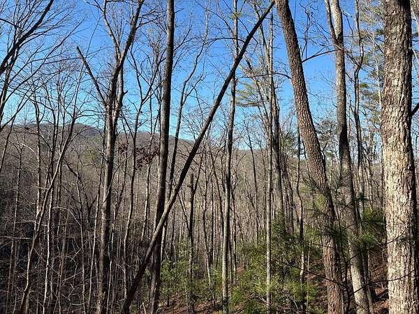 1.26 Acres of Land for Sale in Suches, Georgia