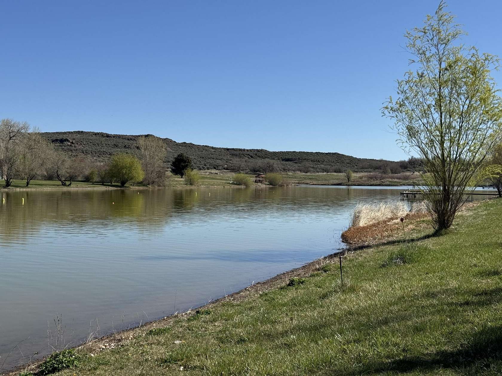 20 Acres of Land for Sale in Shoshone, Idaho