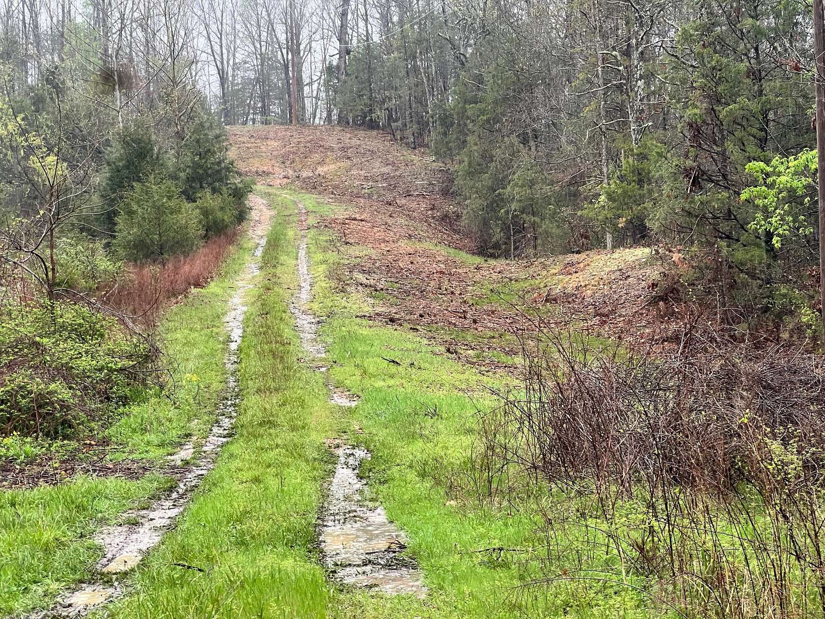 30 Acres of Recreational Land for Sale in Marshfield, Missouri