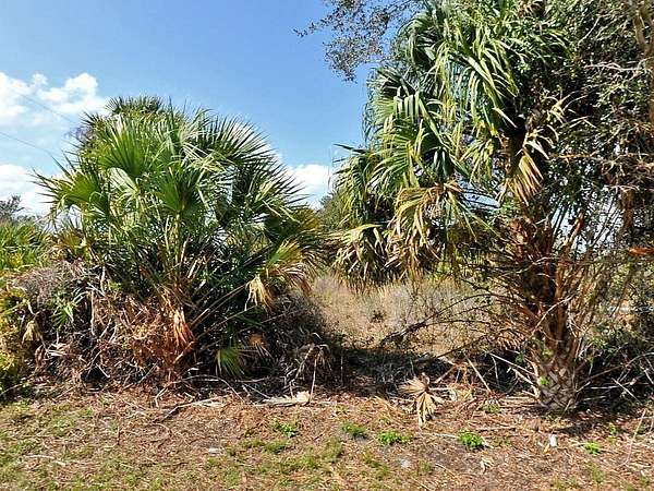 0.32 Acres of Residential Land for Sale in North Port, Florida