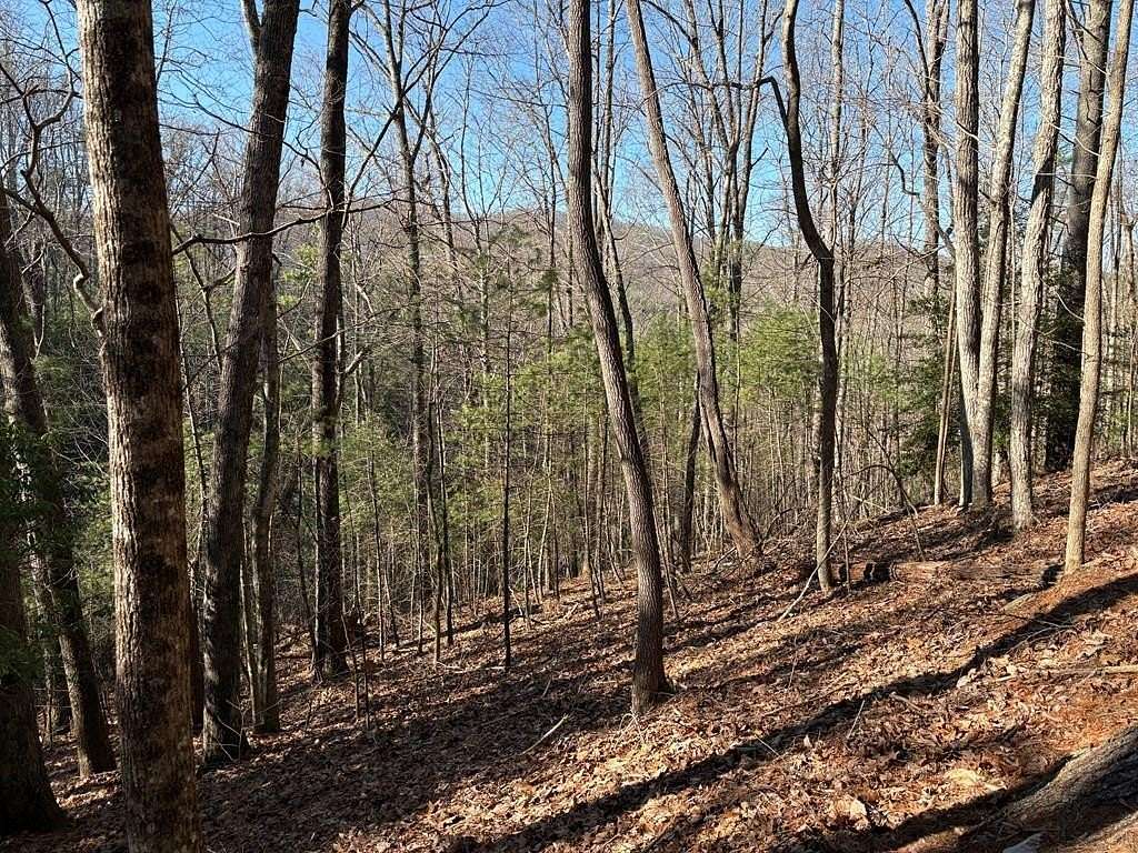 1.33 Acres of Land for Sale in Suches, Georgia