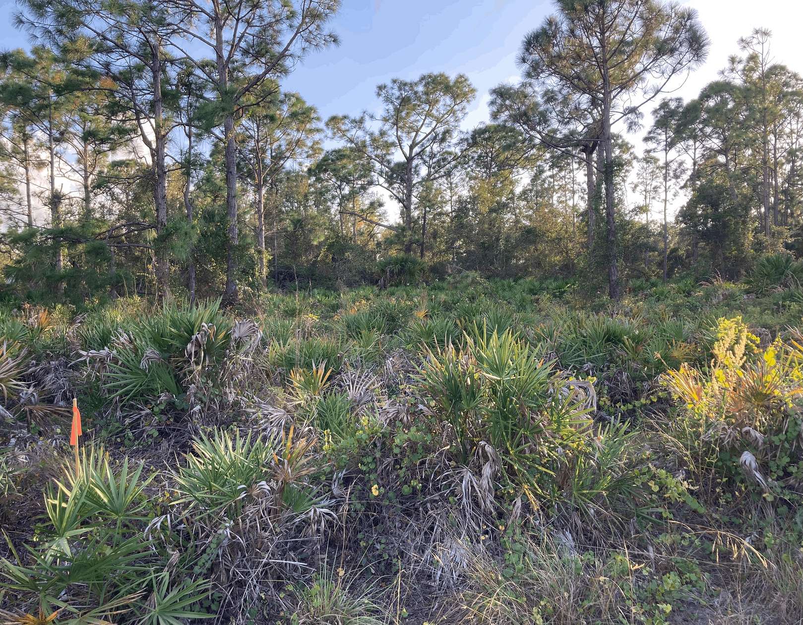 0.39 Acres of Residential Land for Sale in Punta Gorda, Florida