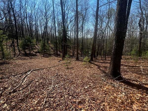 2 Acres of Land for Sale in Morganton, Georgia
