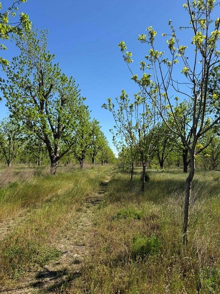 3 Acres of Residential Land for Sale in Naylor, Georgia