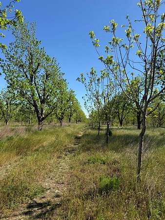 3 Acres of Residential Land for Sale in Naylor, Georgia