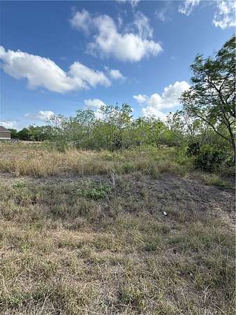 2 Acres of Residential Land for Sale in Robstown, Texas