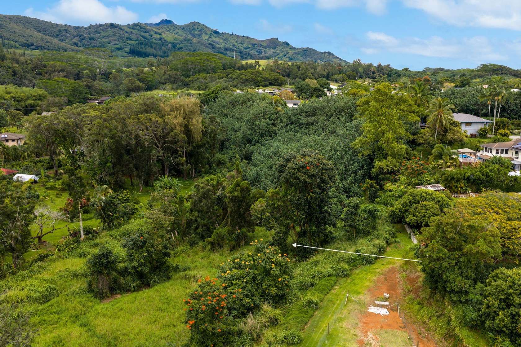 2 Acres of Residential Land for Sale in Koloa, Hawaii
