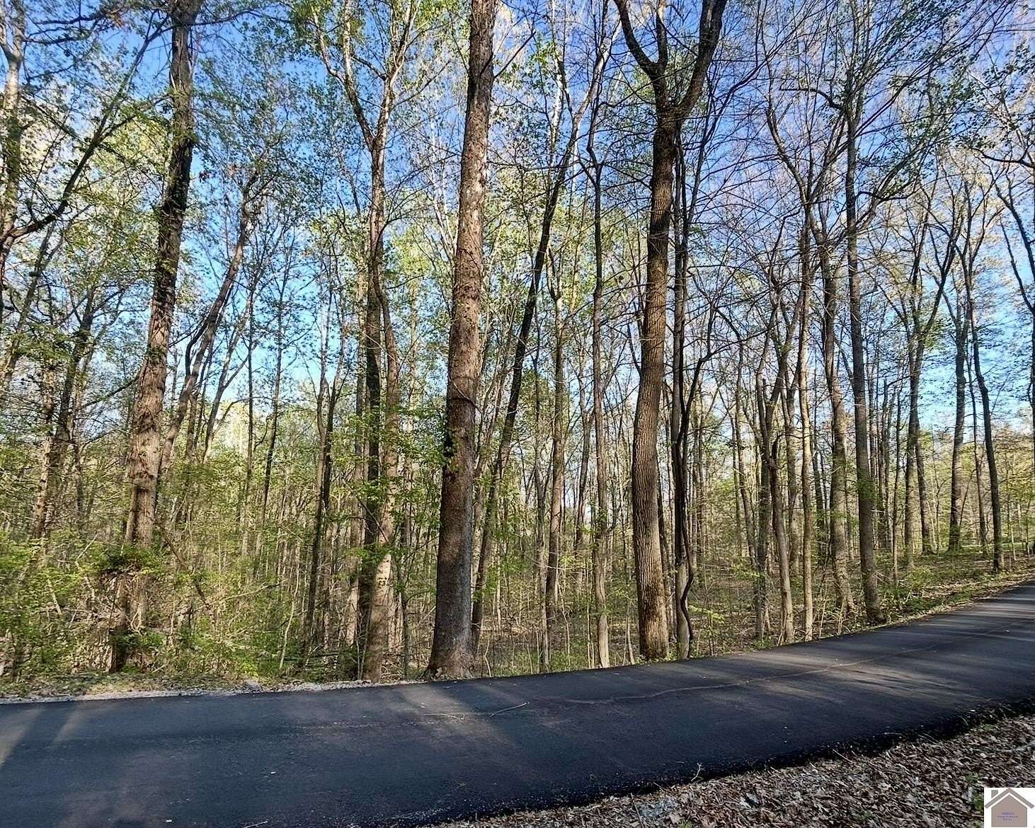 1 Acre of Residential Land for Sale in Eddyville, Kentucky
