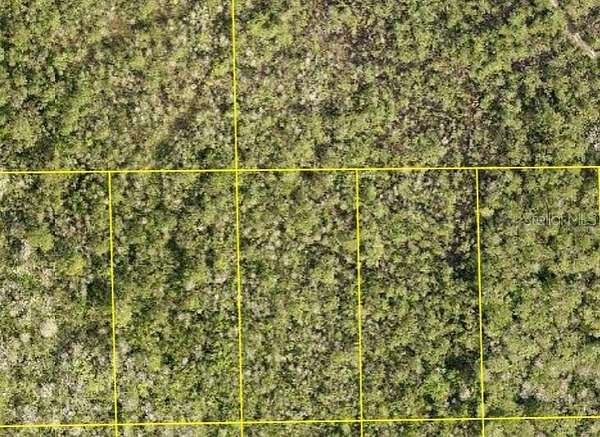 1.25 Acres of Residential Land for Sale in DeLand, Florida