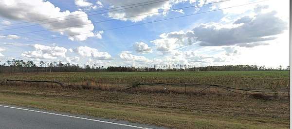 3.69 Acres of Residential Land for Sale in Lakeland, Georgia