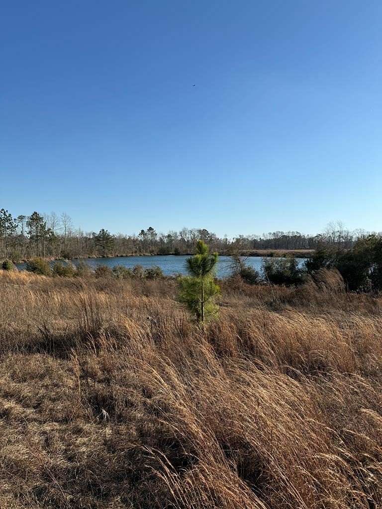 18.4 Acres of Land for Sale in Lyons, Georgia