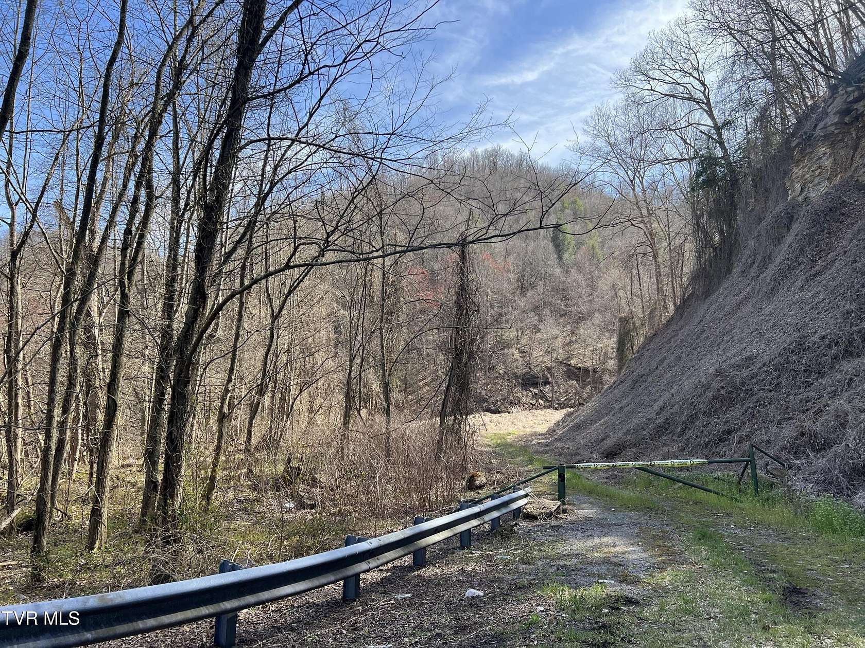 79 Acres of Land for Sale in Coeburn, Virginia