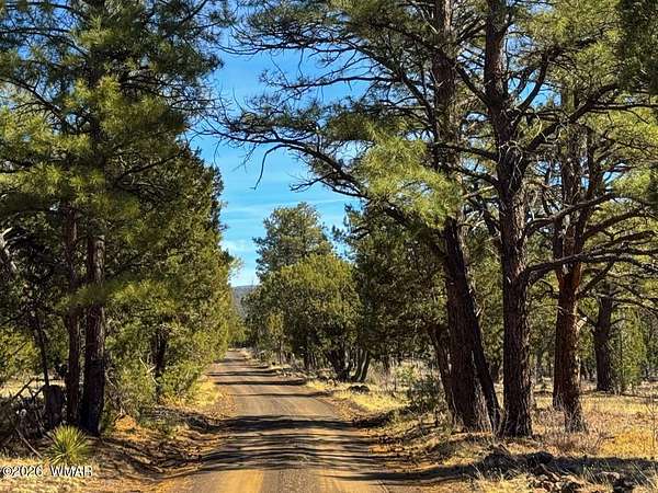 5 Acres of Residential Land for Sale in Vernon, Arizona