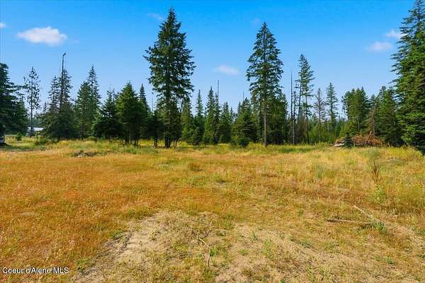 10 Acres of Residential Land for Sale in Priest River, Idaho