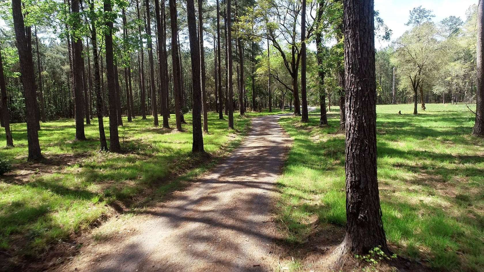 134 Acres of Land for Sale in Shulerville, South Carolina