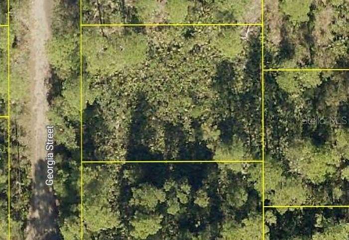 0.17 Acres of Residential Land for Sale in Paisley, Florida