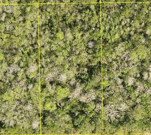 1.25 Acres of Residential Land for Sale in DeLand, Florida