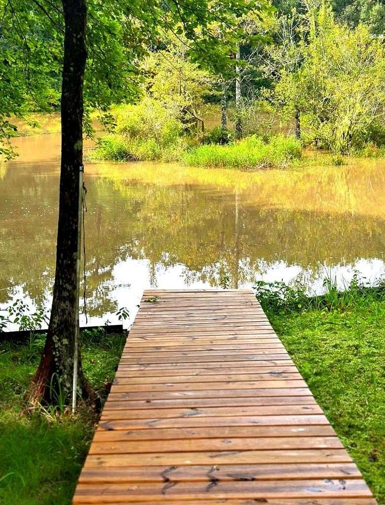 0.4 Acres of Land for Sale in Colmesneil, Texas