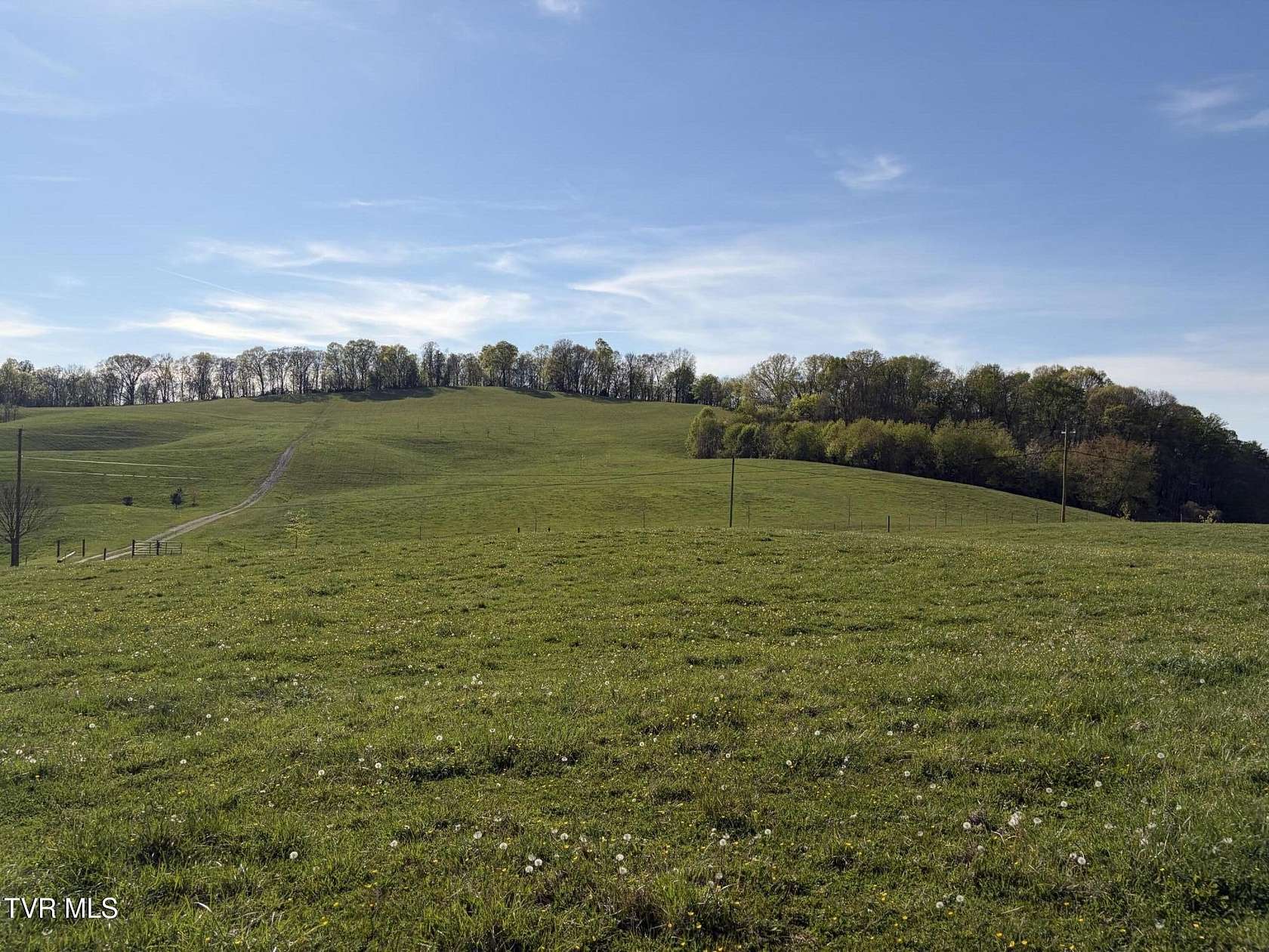 1.47 Acres of Residential Land for Sale in Limestone, Tennessee