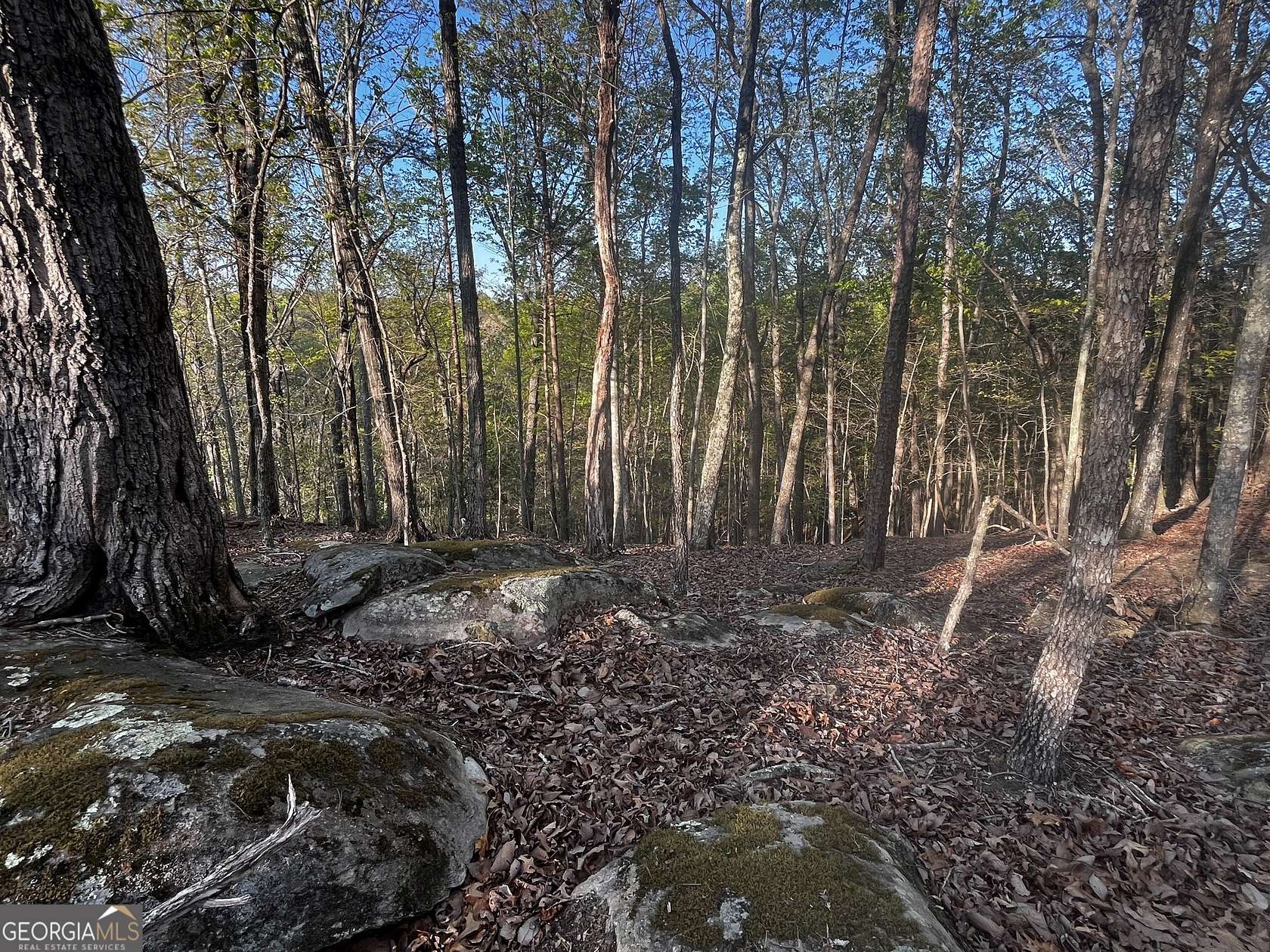 1.6 Acres of Residential Land for Sale in Baldwin, Georgia