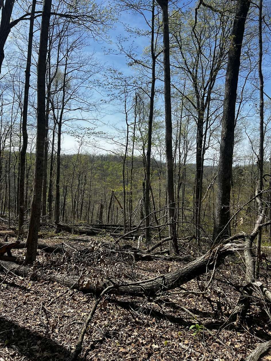 21.5 Acres of Recreational Land for Sale in Stanton, Kentucky