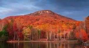 1.17 Acres of Residential Land for Sale in Cleveland, Georgia