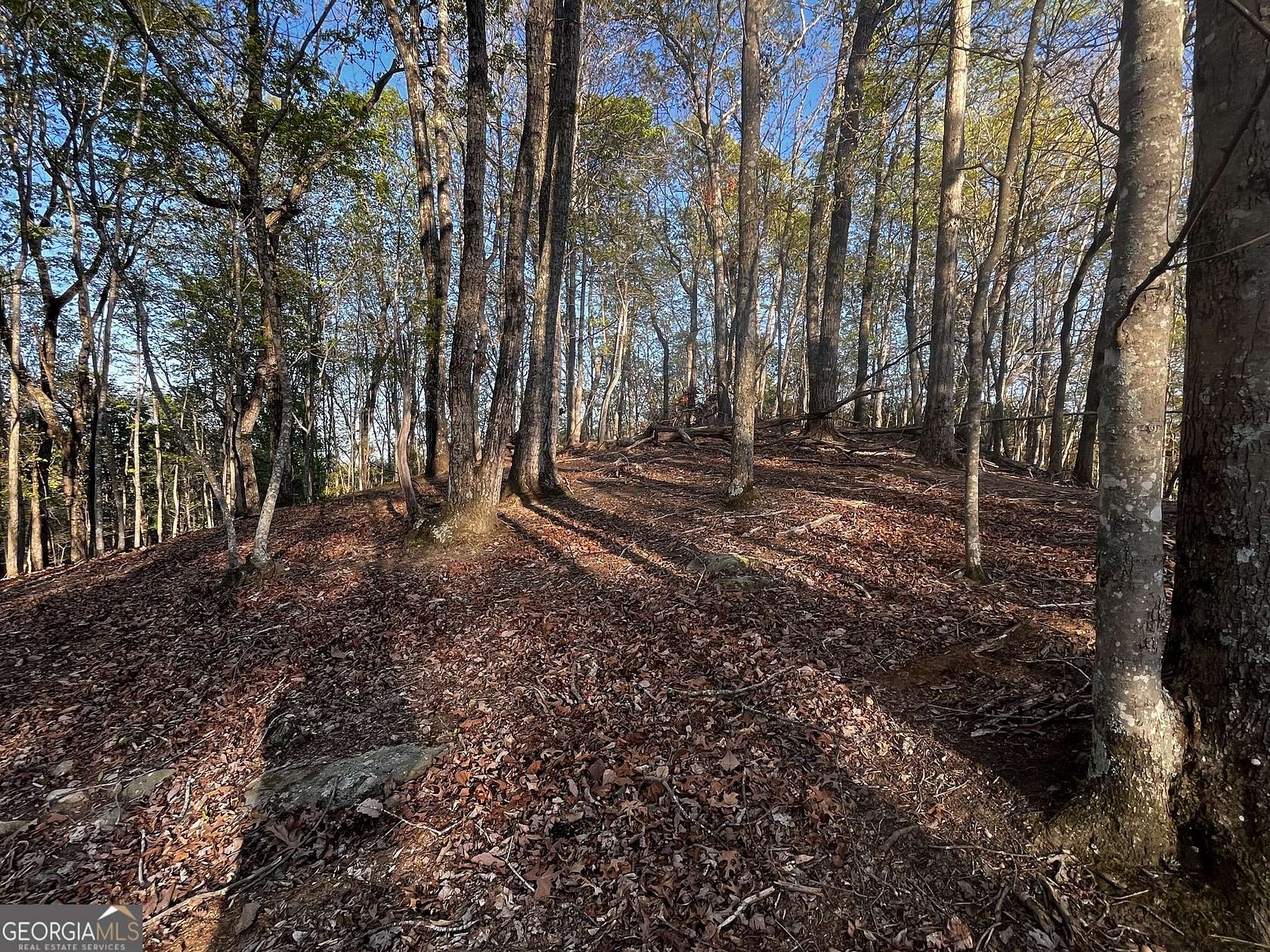 1 Acre of Residential Land for Sale in Baldwin, Georgia