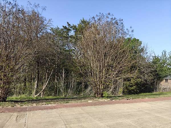 2 Acres of Residential Land for Sale in Midlothian, Texas