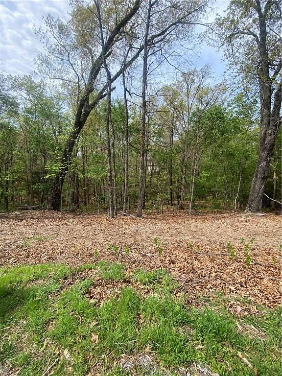 0.29 Acres of Residential Land for Sale in Bella Vista, Arkansas