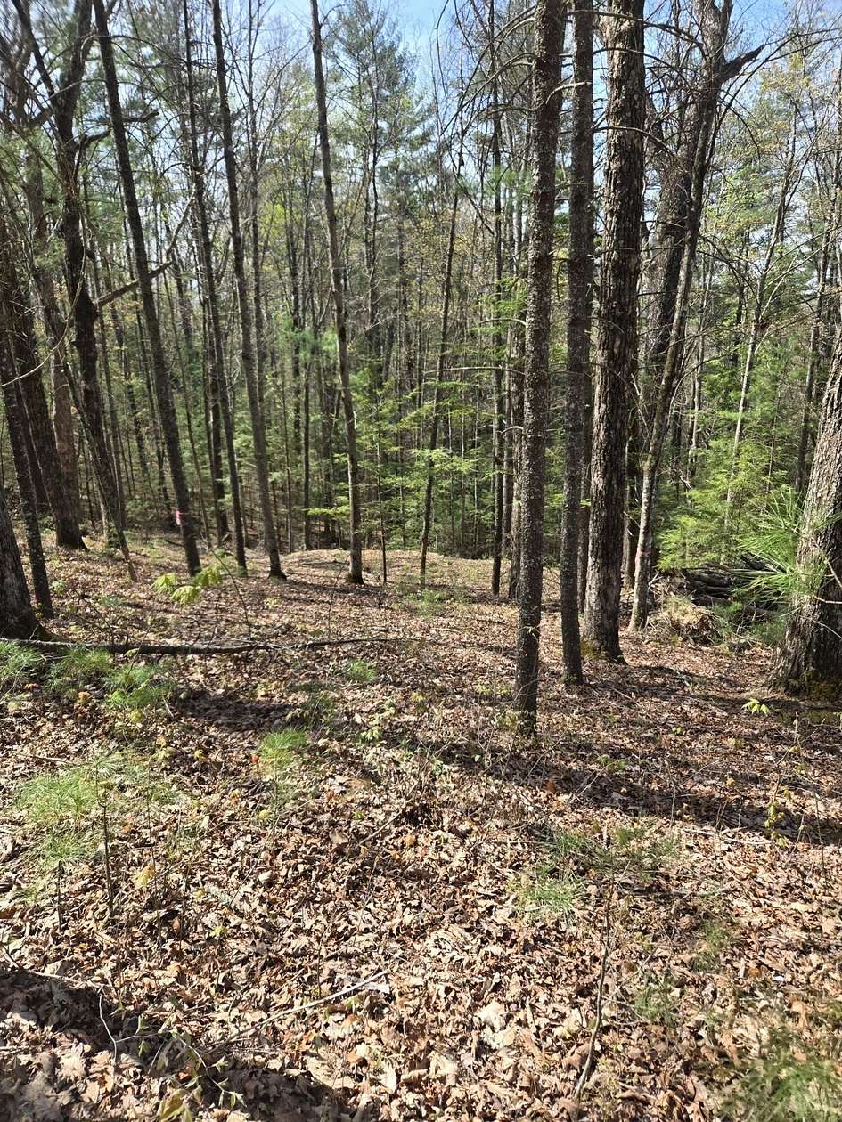 1.35 Acres of Residential Land for Sale in Campton, Kentucky