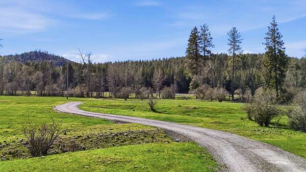 5 Acres of Residential Land for Sale in Valley, Washington