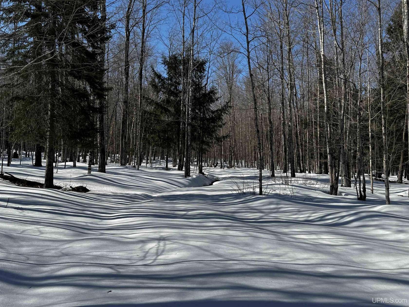 42.5 Acres of Recreational Land for Sale in Skanee, Michigan