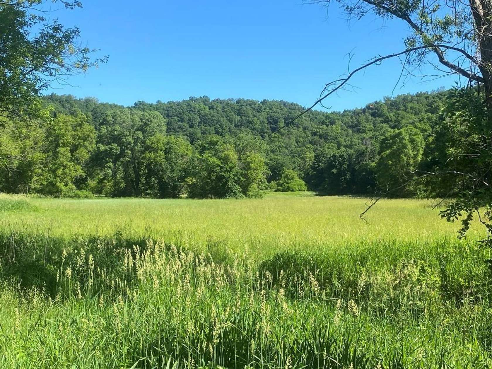 502 Acres of Land for Sale in Lanesboro, Minnesota