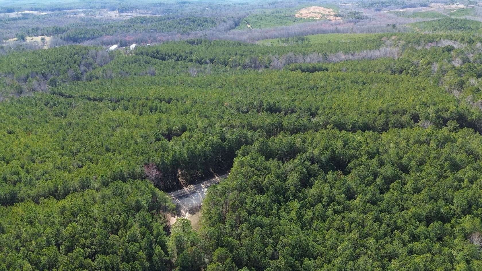 27 Acres of Land for Sale in Bear Creek, Alabama