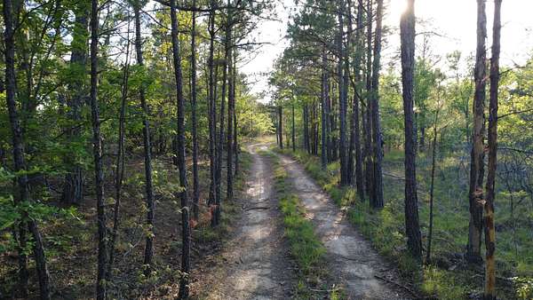 61 Acres of Recreational Land for Sale in Ringold, Oklahoma