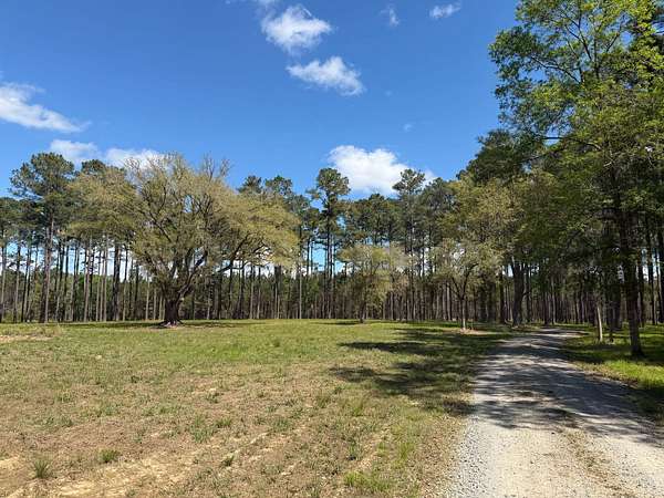 59.2 Acres of Land for Sale in Shulerville, South Carolina