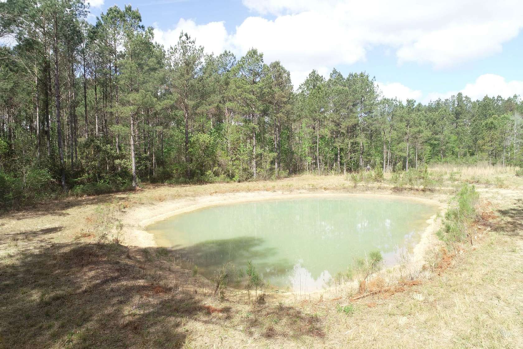 45 Acres of Land for Sale in Shulerville, South Carolina