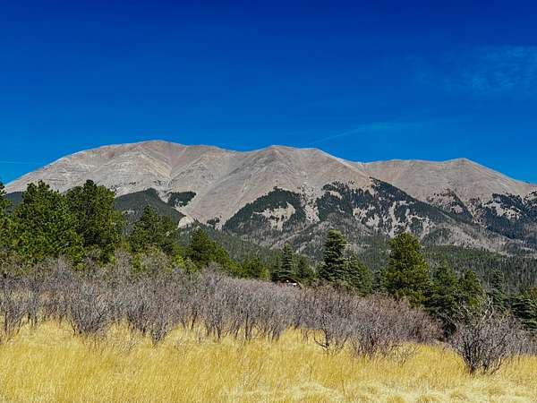 1 Acre of Land for Sale in Aguilar, Colorado