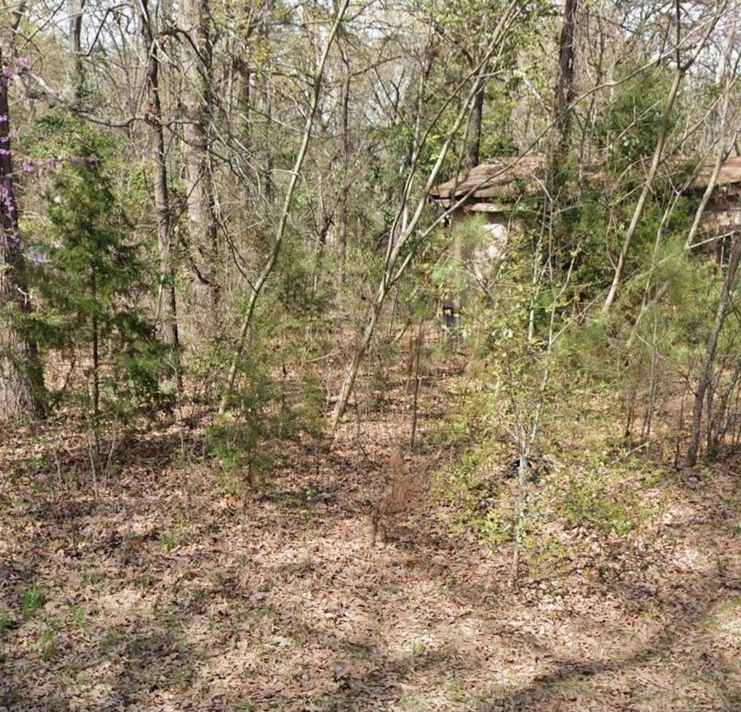 0.29 Acres of Land for Sale in Gilmer, Texas