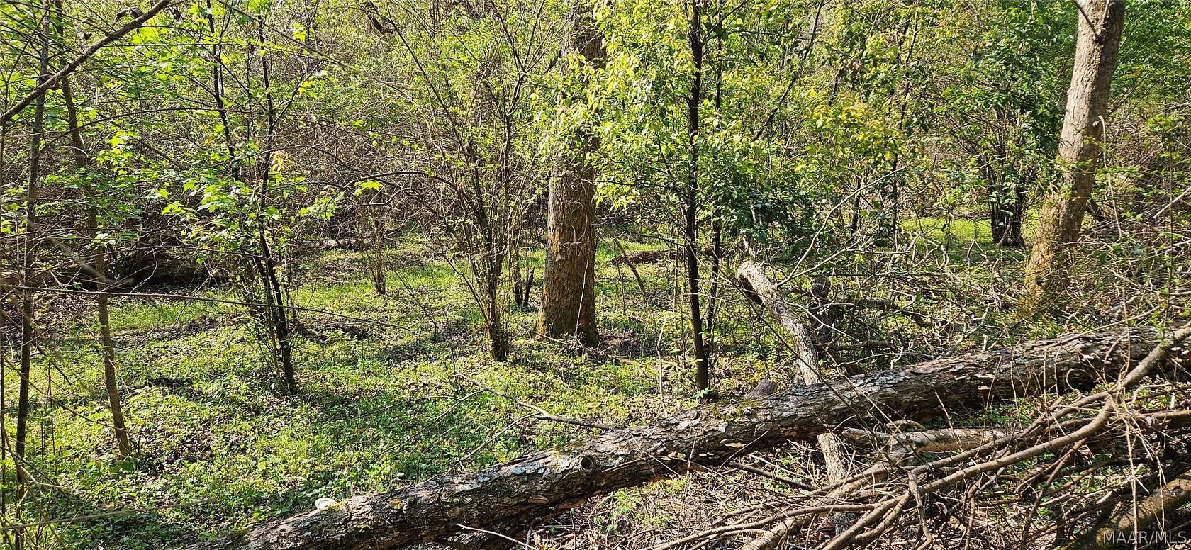 1 Acre of Residential Land for Sale in Fairhope, Alabama